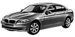 BMW F10 U300F Fault Code