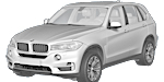 BMW F15 U300F Fault Code